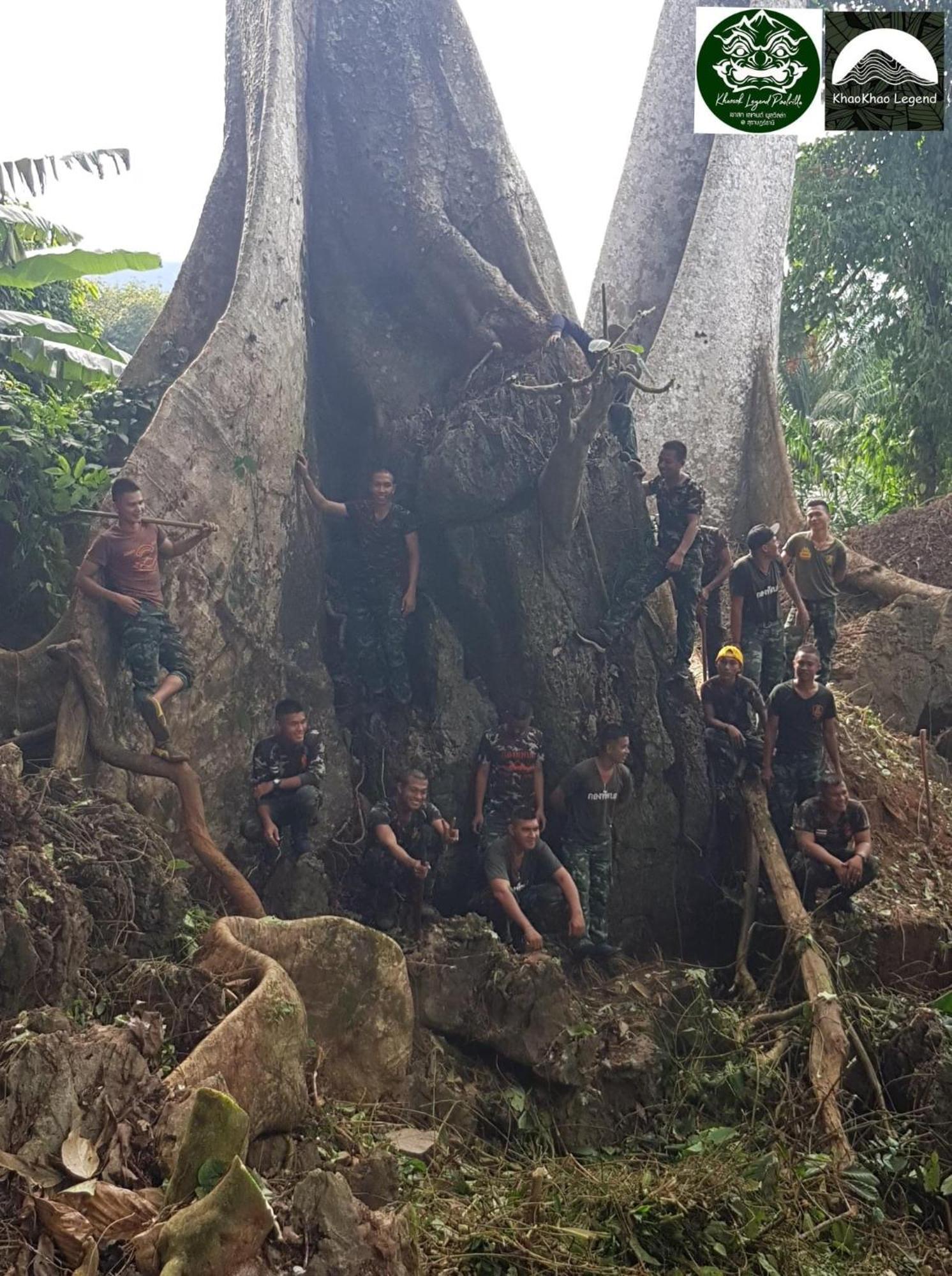 Khaosok Legend Villa Khao Sok National Park Ngoại thất bức ảnh